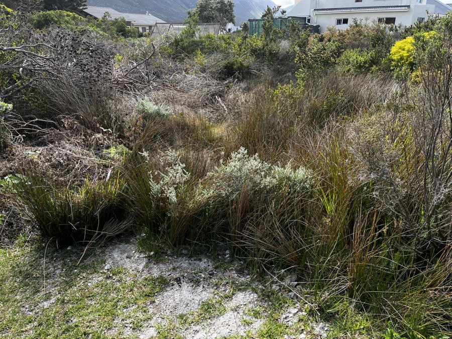 0 Bedroom Property for Sale in Bettys Bay Western Cape